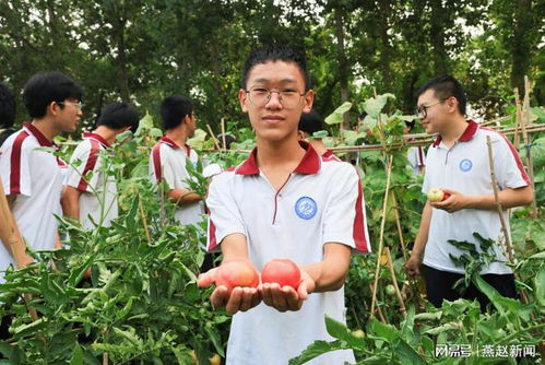 7月,丰收的季节 和武邑宏达学生们一起分享甜美的果实吧